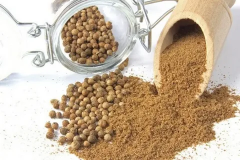 تصویر 1 از خرید و قیمت تخم گشنیز خشک + فروش عمده